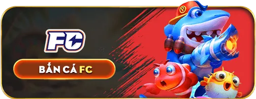 Các tổ chức hỗ trợ bên ngoài